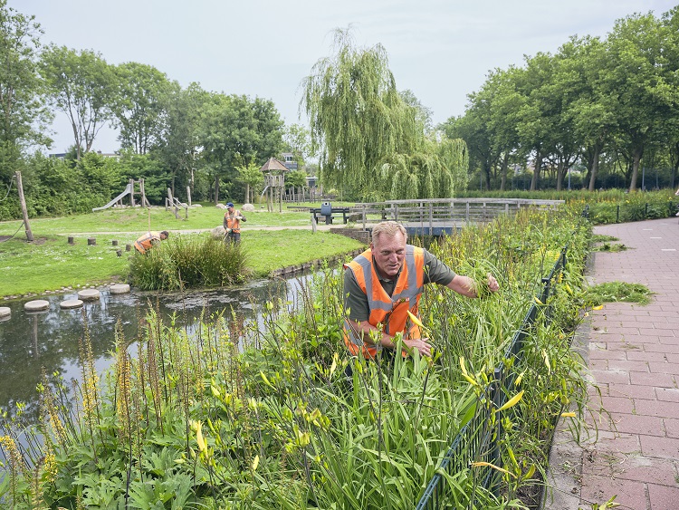 Verheij Integrale groenzorg; doeners die denken