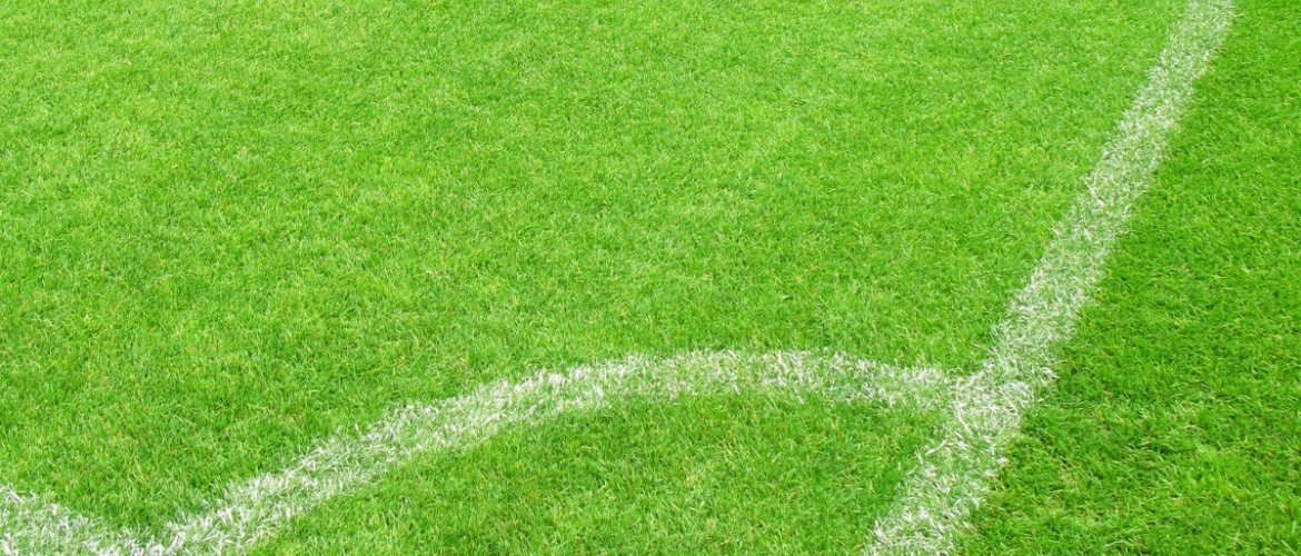 Integrated Pest Management bij beheer sportvelden