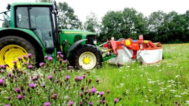 Examendocument Kleurkeur